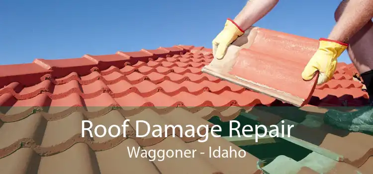 Roof Damage Repair Waggoner - Idaho