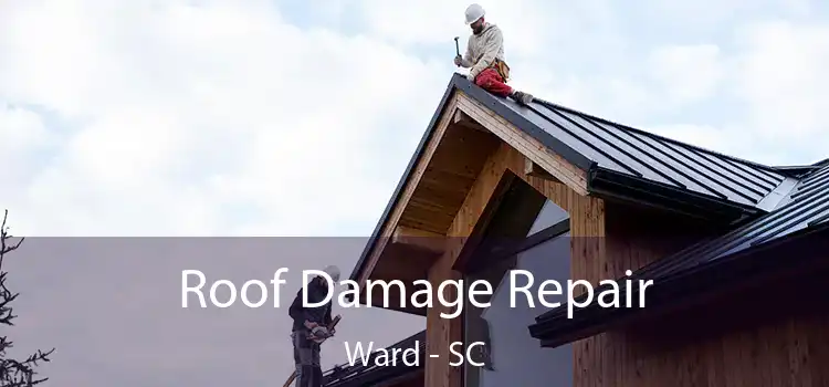 Roof Damage Repair Ward - SC