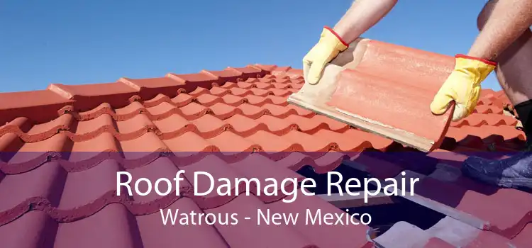 Roof Damage Repair Watrous - New Mexico