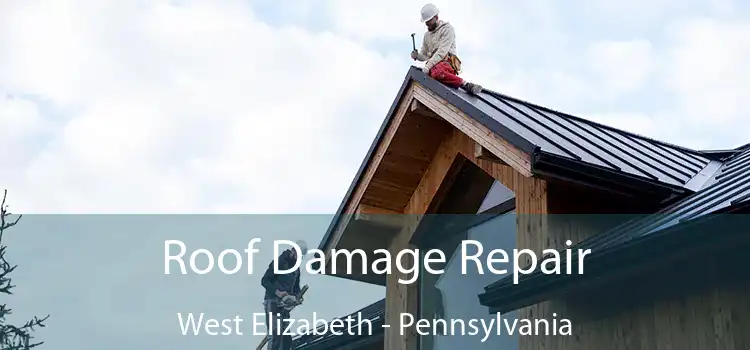 Roof Damage Repair West Elizabeth - Pennsylvania