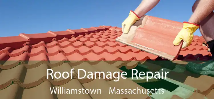 Roof Damage Repair Williamstown - Massachusetts