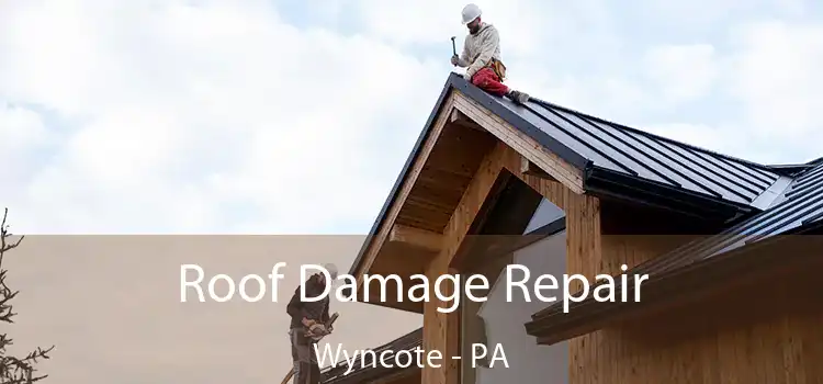 Roof Damage Repair Wyncote - PA