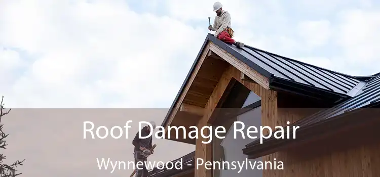 Roof Damage Repair Wynnewood - Pennsylvania