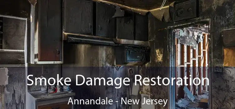 Smoke Damage Restoration Annandale - New Jersey