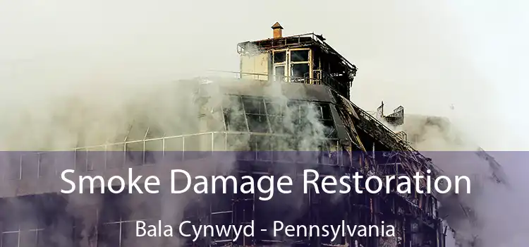 Smoke Damage Restoration Bala Cynwyd - Pennsylvania