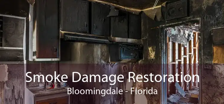 Smoke Damage Restoration Bloomingdale - Florida