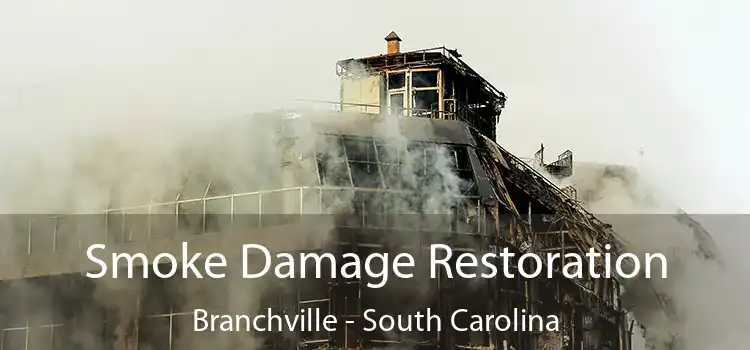 Smoke Damage Restoration Branchville - South Carolina