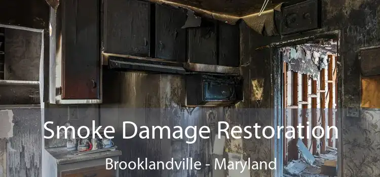 Smoke Damage Restoration Brooklandville - Maryland