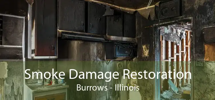 Smoke Damage Restoration Burrows - Illinois
