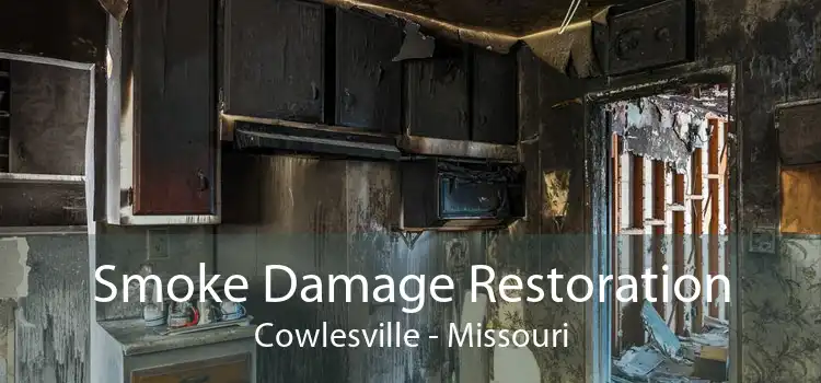 Smoke Damage Restoration Cowlesville - Missouri