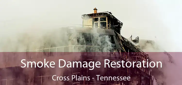 Smoke Damage Restoration Cross Plains - Tennessee