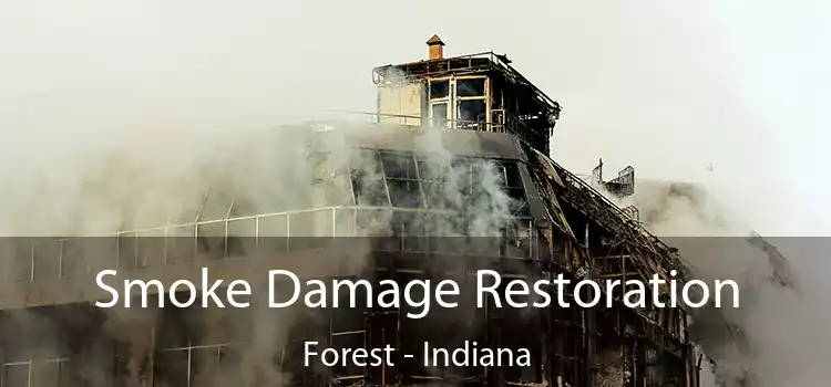 Smoke Damage Restoration Forest - Indiana