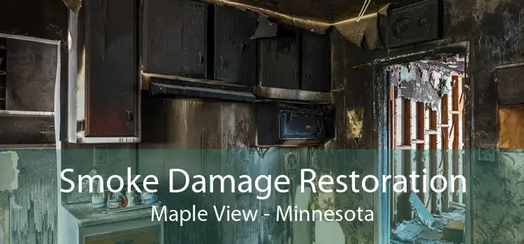 Smoke Damage Restoration Maple View - Minnesota