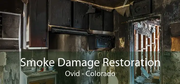 Smoke Damage Restoration Ovid - Colorado