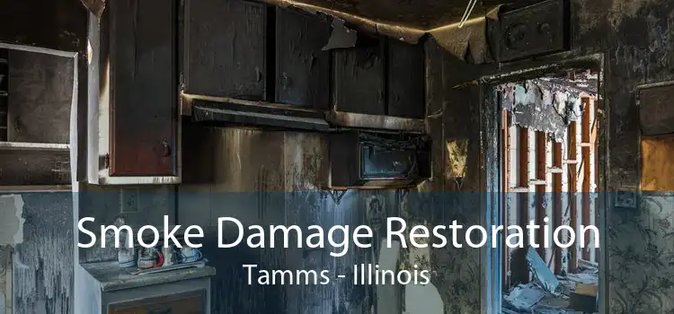 Smoke Damage Restoration Tamms - Illinois