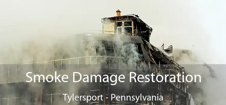 Smoke Damage Restoration Tylersport - Pennsylvania