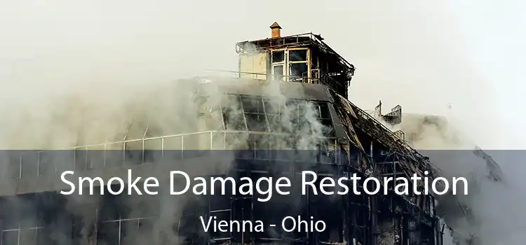 Smoke Damage Restoration Vienna - Ohio