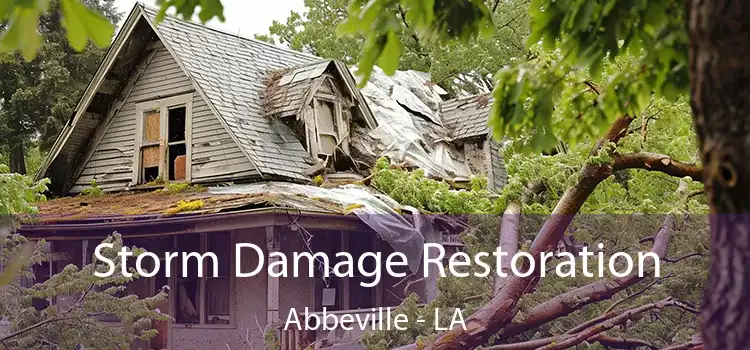 Storm Damage Restoration Abbeville - LA