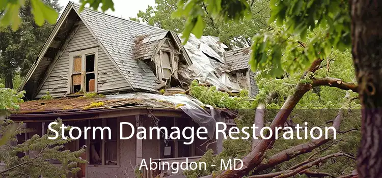 Storm Damage Restoration Abingdon - MD