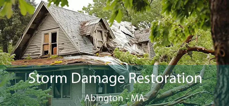 Storm Damage Restoration Abington - MA