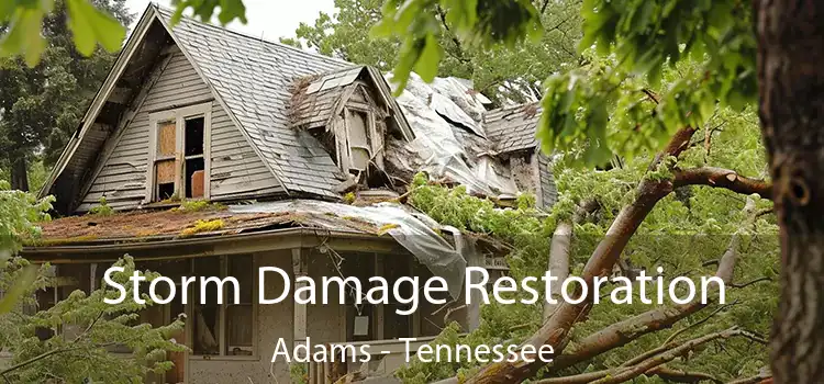 Storm Damage Restoration Adams - Tennessee