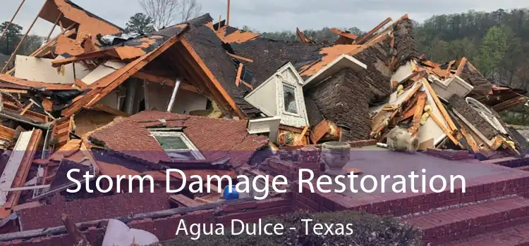 Storm Damage Restoration Agua Dulce - Texas