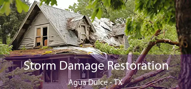 Storm Damage Restoration Agua Dulce - TX