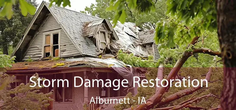 Storm Damage Restoration Alburnett - IA