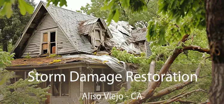 Storm Damage Restoration Aliso Viejo - CA