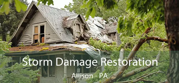 Storm Damage Restoration Allison - PA