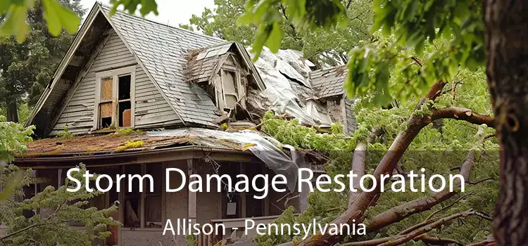 Storm Damage Restoration Allison - Pennsylvania