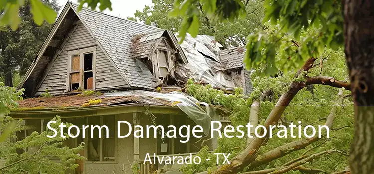 Storm Damage Restoration Alvarado - TX