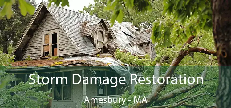 Storm Damage Restoration Amesbury - MA