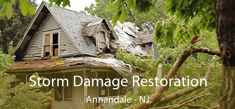 Storm Damage Restoration Annandale - NJ