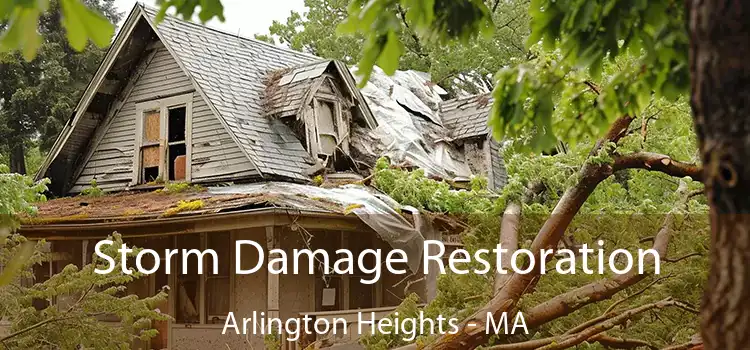 Storm Damage Restoration Arlington Heights - MA