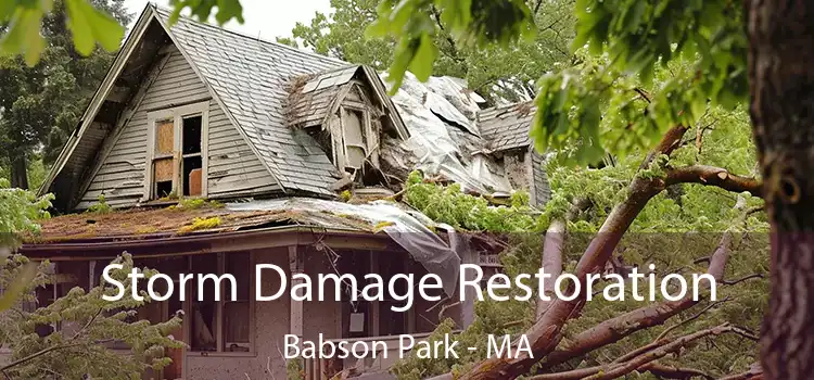 Storm Damage Restoration Babson Park - MA