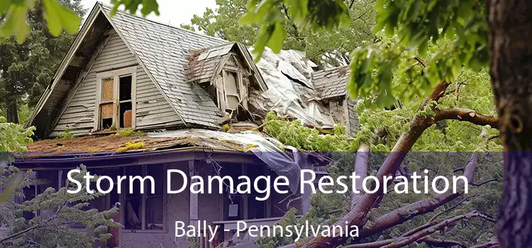 Storm Damage Restoration Bally - Pennsylvania