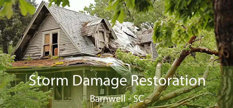 Storm Damage Restoration Barnwell - SC