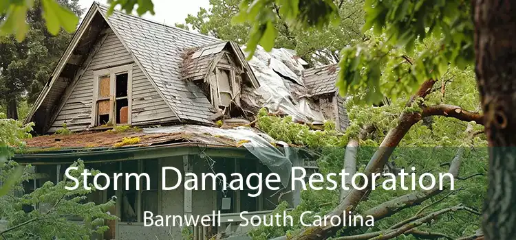 Storm Damage Restoration Barnwell - South Carolina