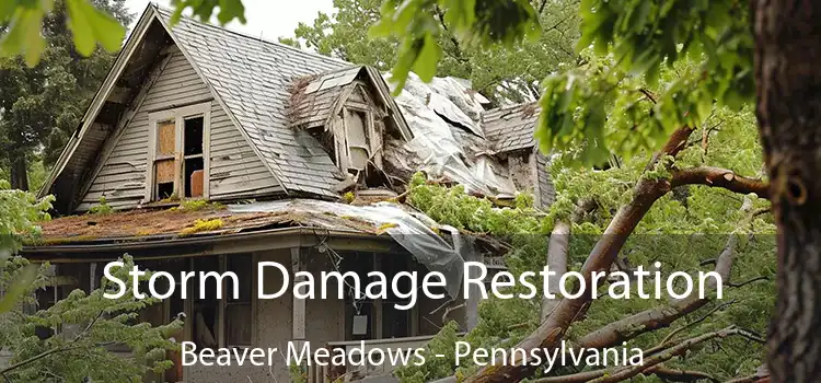 Storm Damage Restoration Beaver Meadows - Pennsylvania