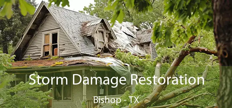 Storm Damage Restoration Bishop - TX