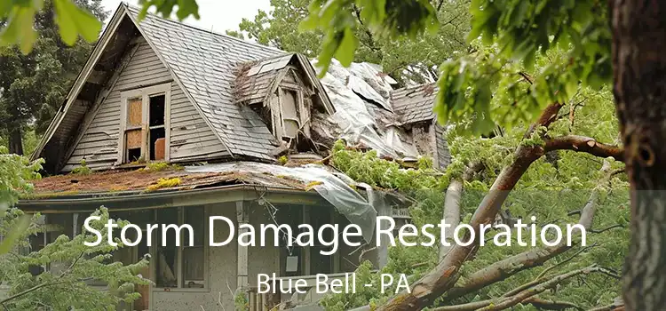 Storm Damage Restoration Blue Bell - PA