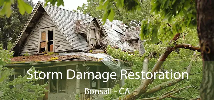 Storm Damage Restoration Bonsall - CA