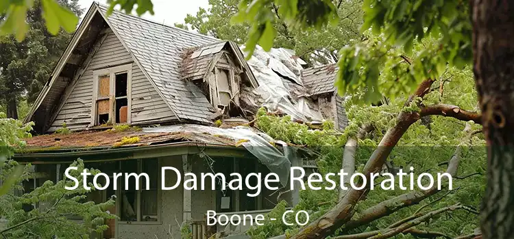 Storm Damage Restoration Boone - CO