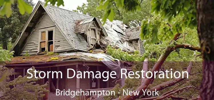 Storm Damage Restoration Bridgehampton - New York