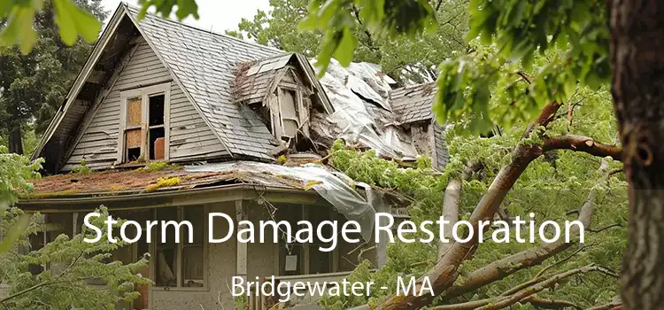 Storm Damage Restoration Bridgewater - MA