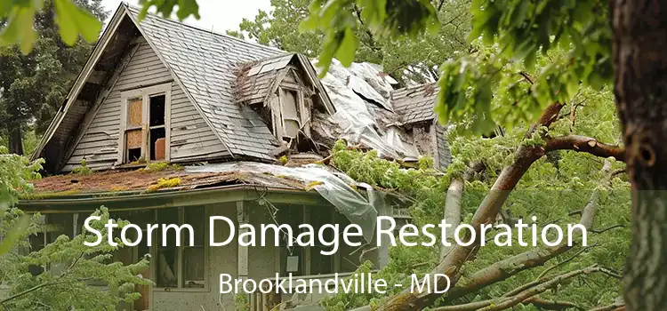 Storm Damage Restoration Brooklandville - MD