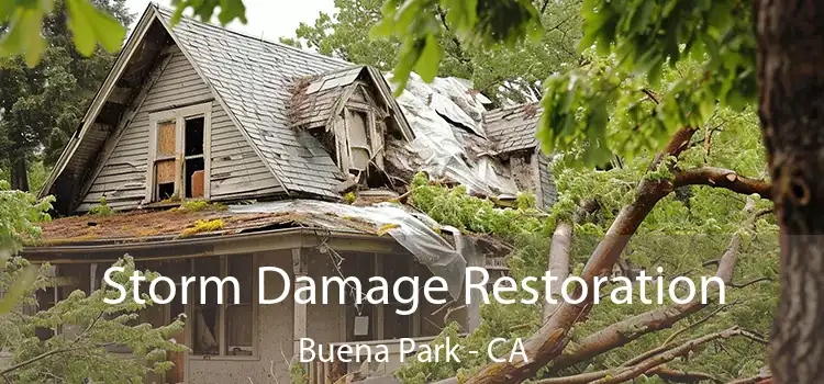 Storm Damage Restoration Buena Park - CA