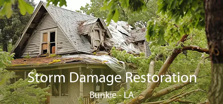 Storm Damage Restoration Bunkie - LA