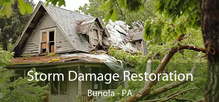 Storm Damage Restoration Bunola - PA